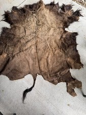 Vintage bison buffalo for sale  Meridian