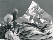 Photo photographs aluminum d'occasion  Expédié en Belgium