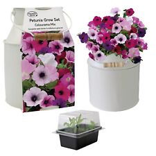 Flower bulbs seeds for sale  BARRY