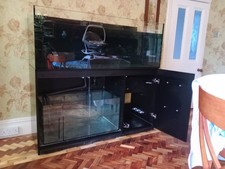 Red sea reefer for sale  LYTHAM ST. ANNES