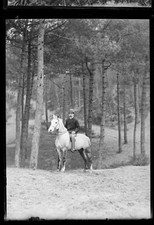 Photographies plaques verre d'occasion  Rennes-
