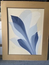 Bowman original fine for sale  Windermere