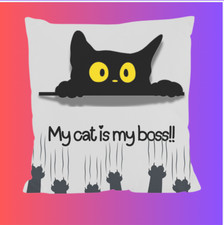 Cuscino cat boss usato  Iseo
