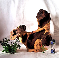 Radice mopani legno usato  Palermo