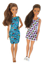 Hispanic lot barbie for sale  Altamonte Springs
