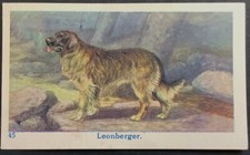Leonberger rara carta usato  Spedire a Italy