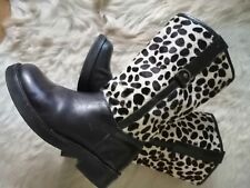 Coole dick boons gebraucht kaufen  Frankfurt am Main