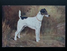 Champion avon oxendale for sale  UK