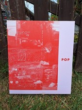 Finn kliemann pop gebraucht kaufen  Rodenberg