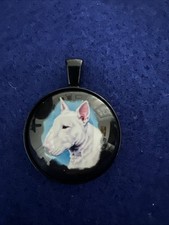 Bull terrier dog for sale  Idaho Falls