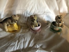 Precious yorkie collection for sale  Morrisdale