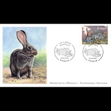 Fdc lnf lapin d'occasion  Crécy-la-Chapelle
