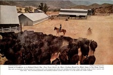 Vintage 1949 cowboy for sale  Cedar Knolls