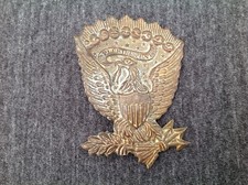 Pluribus unum bald for sale  Veneta
