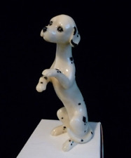Dalmatian puppy cute for sale  ROSS-ON-WYE