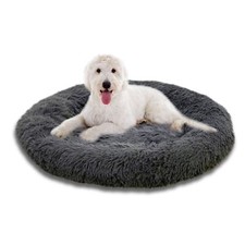 Medisafety hundebett milou gebraucht kaufen  Nordhalben
