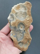 Lower paleolithic acheulean d'occasion  Bonneville