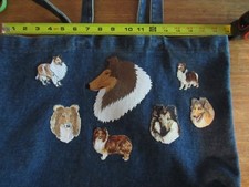 lassie collie for sale  Rochester