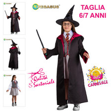 Costume vestito carnevale usato  Italia