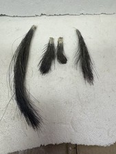 Wild turkey beards for sale  Bellevue
