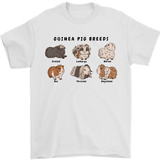 Guinea pig breeds for sale  COVENTRY