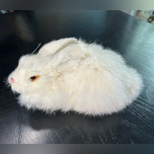 Taxidermy molded fluffy for sale  San Antonio