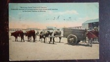 Equipe de bois mexicanos e Carreta, transporte para estação ferroviária - início dos anos 1900 comprar usado  Enviando para Brazil