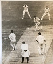 Cricket press photo for sale  BUSHEY