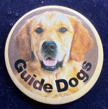 Guide dogs labrador for sale  STONEHAVEN