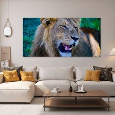 Lion close canvas for sale  Pomona