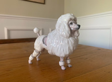 Royal doulton porcelain for sale  NEWARK