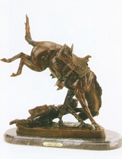 Wicked pony regular for sale  Branson