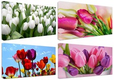 Quadri moderni fiori usato  Monopoli