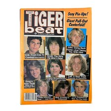 Tiger beat magazine for sale  Loris