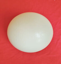 Blown ostrich egg for sale  BANBURY