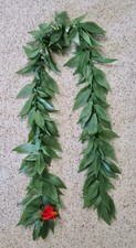 Hawaiian fern open for sale  Livermore