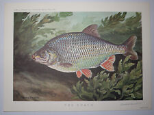 1962 original print for sale  ANDOVER