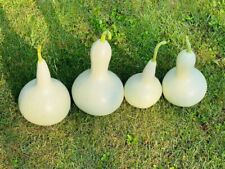 Mix bottle gourd for sale  LONDON