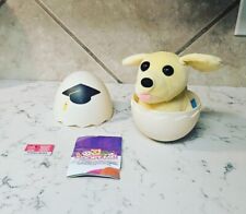 2024 adopt surprise for sale  Walker