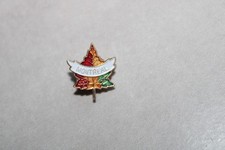 Pine canada maple d'occasion  Expédié en Belgium