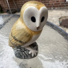 barn owl for sale barn owl for sale GLOUCESTER