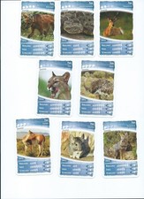 Zeanien pampa 31 gebraucht kaufen Zeanien pampa 31 gebraucht kaufen  Neuenhagen