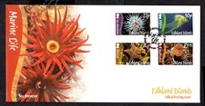 marine anemone for sale marine anemone for sale HALSTEAD