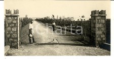 1931 libia cirenaica usato  Milano