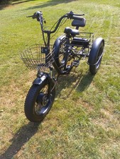 Electric tricycle pedal for sale  CAMBRIDGE