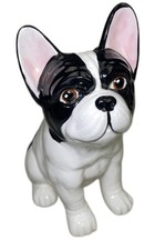 Two company frenchie for sale  Plantersville