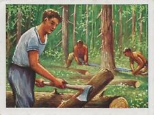 843 sammelbild beruf gebraucht kaufen 843 sammelbild beruf gebraucht kaufen  Prösen