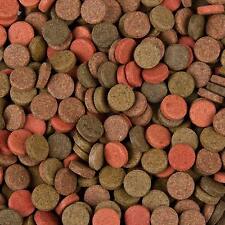 Compresse per mangimi usato  Spedire a Italy