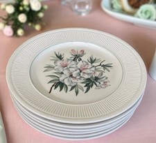 Set ivory shenango for sale  Brownstown