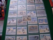 Players wildfowl full for sale  STUDLEY